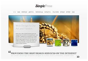 We Design Web Sites