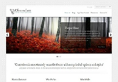 Wordpress CMS websites image